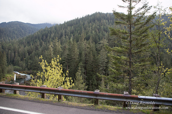 Hwy 224