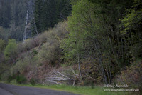 Hwy 224