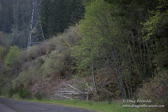 Hwy 224