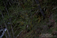 Hwy 224