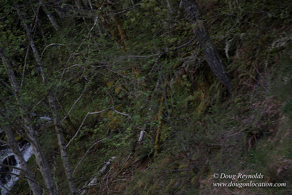 Hwy 224