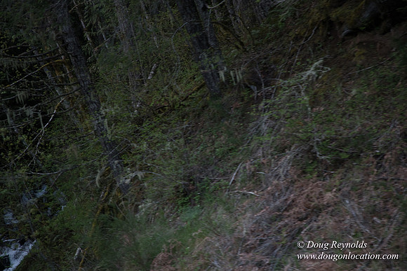 Hwy 224
