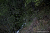 Hwy 224