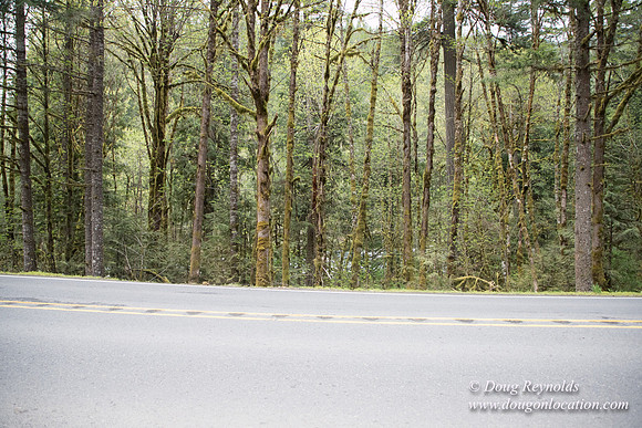 Hwy 224