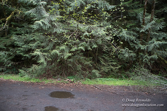 Hwy 224