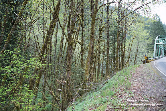 Hwy 224