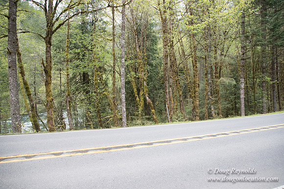Hwy 224