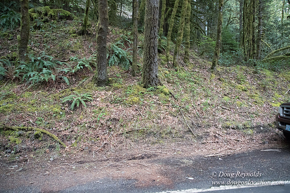 Hwy 224