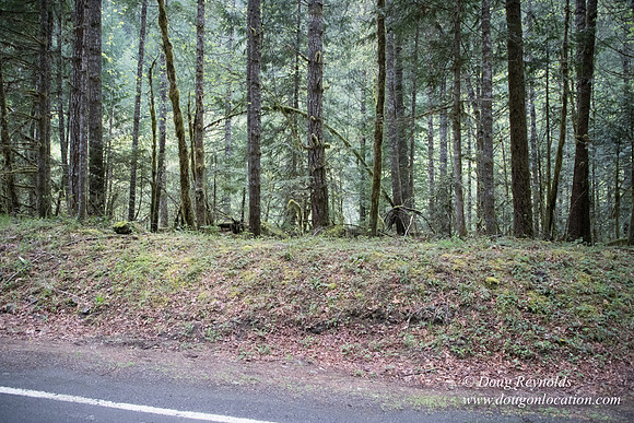 Hwy 224