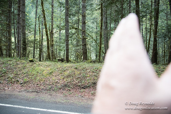 Hwy 224