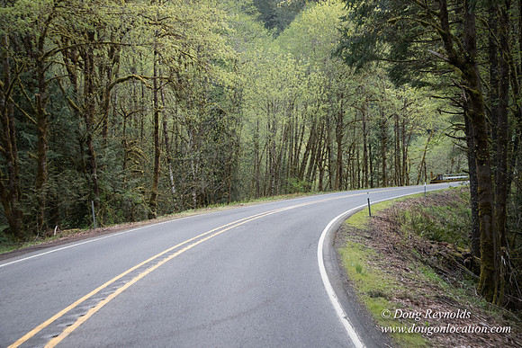 Hwy 224