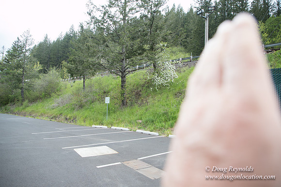 Hwy 224