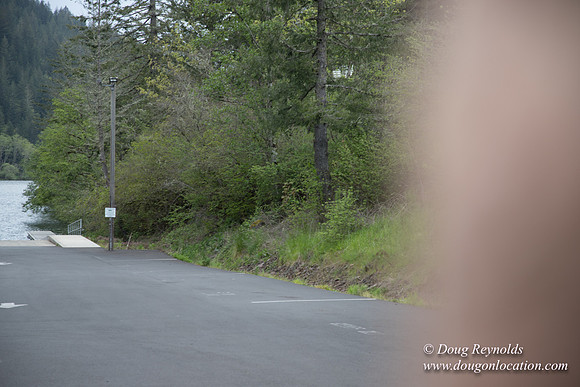 Hwy 224