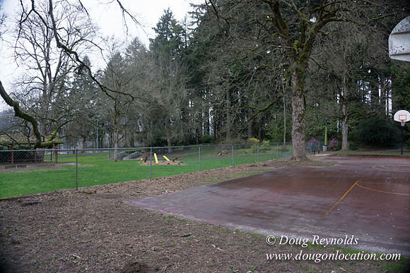 Sellwood Park-2371