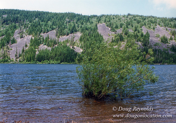 Laurance Lake-0008