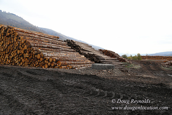 SDS Lumber-1436