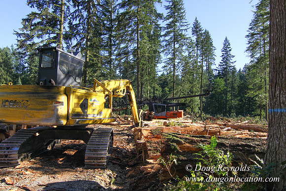 Craig Logging-3166