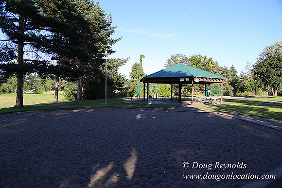 Lincoln Park-0633