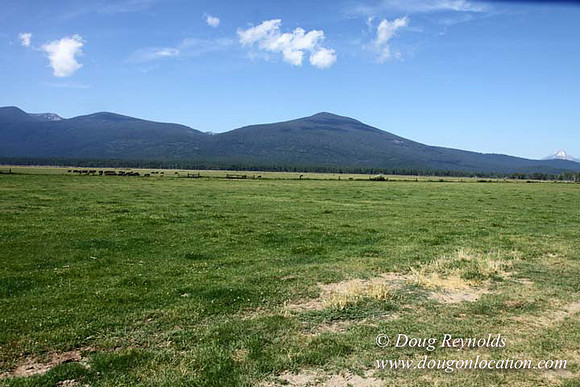 2500 Acres of green fields Creeks water crossing Bridges on a Large Lake and miles of Dirt roads Oak trees Forest land ATV Trails cows