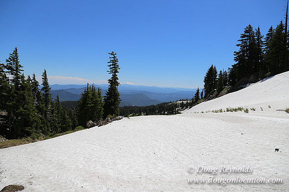 Medow's Snow-5721