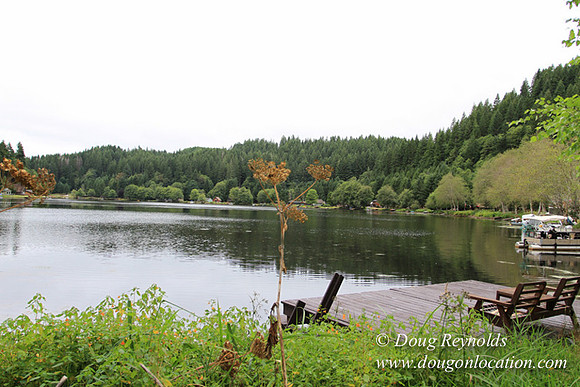 Cabin, Dock, Green, Home, House, Lake, ORBoat, Oregon, "Sky's Lake House", Yard, deck
