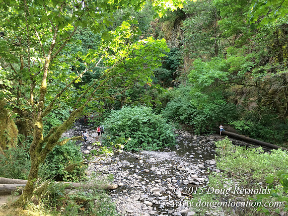 Oneonta Falls