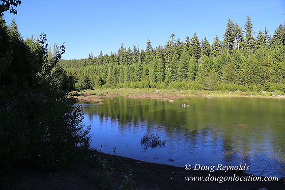 Clear Lake-3598