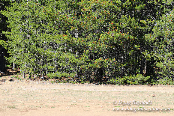 Clear Lake-3495