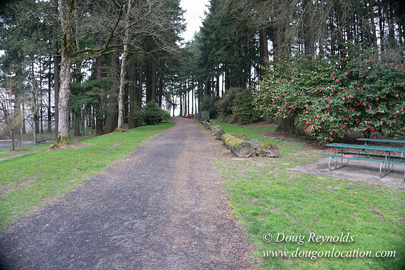 Sellwood Park-2333