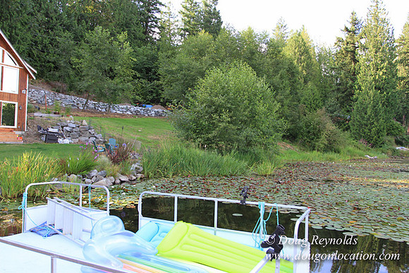 Kathys Lake House-7470