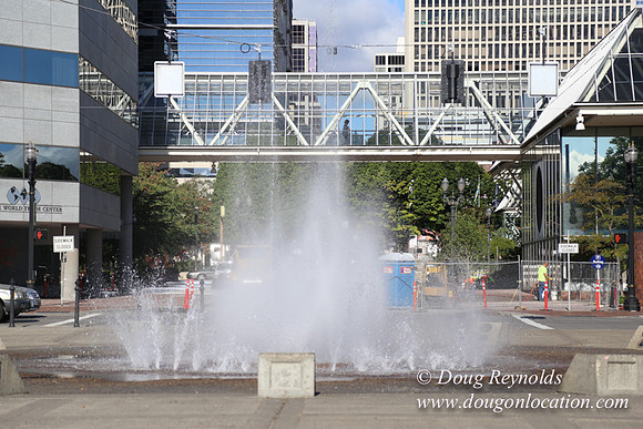 Salmon St Ftn-2710