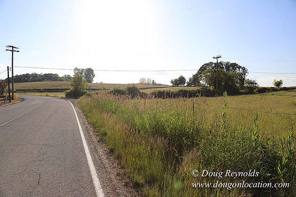 Moores Rd 1-7000