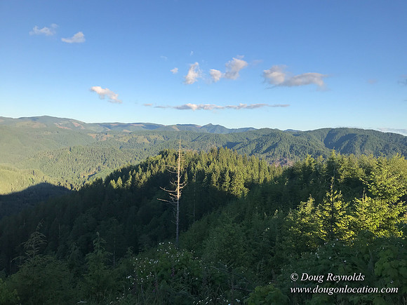 Revit in Oregon