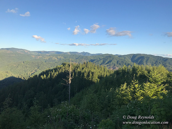 Revit in Oregon