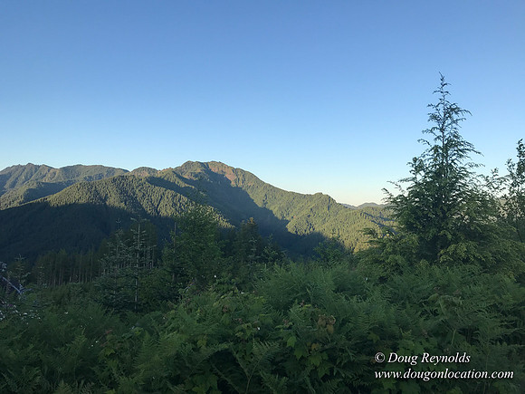 Revit in Oregon