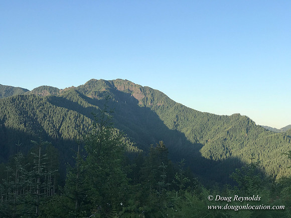 Revit in Oregon