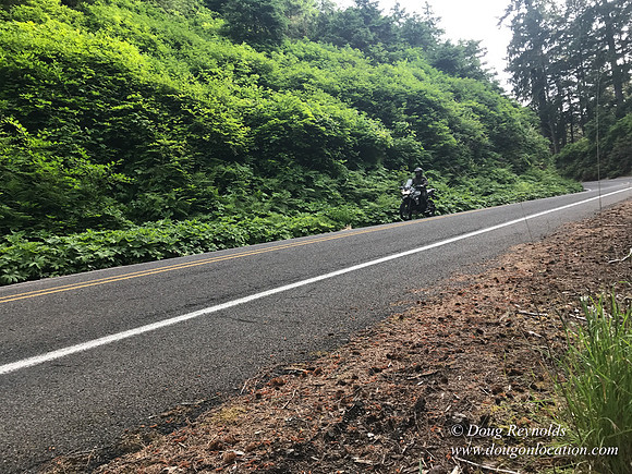 Revit in Oregon