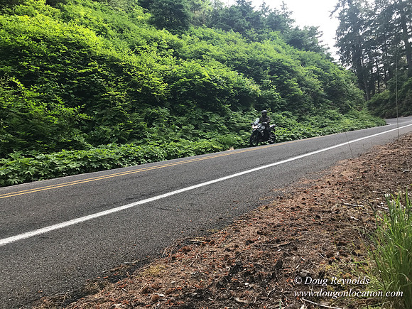 Revit in Oregon