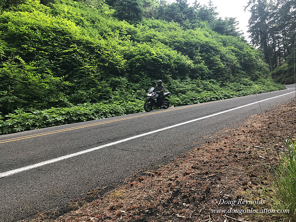 Revit in Oregon