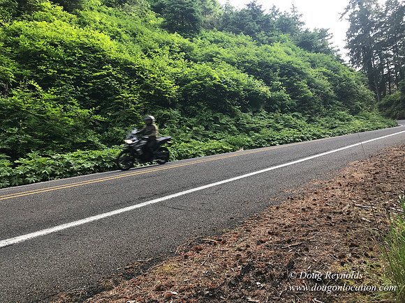 Revit in Oregon