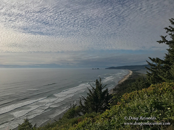 Revit in Oregon