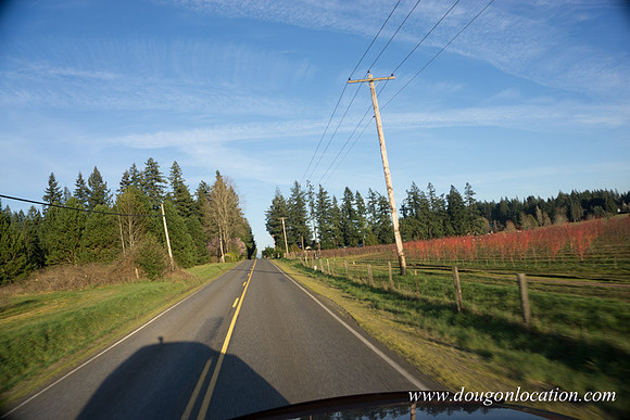 Kelso Rd W Driving E-4092