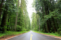 Larch Mt Rd