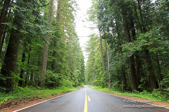 Larch Mt Rd