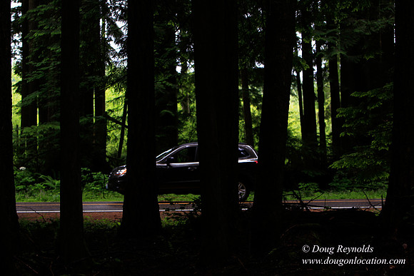 Larch Mt Rd
