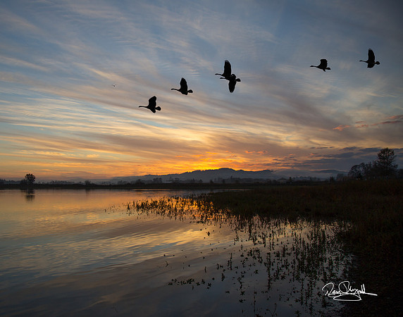 Furn Hill Pond at Sunset