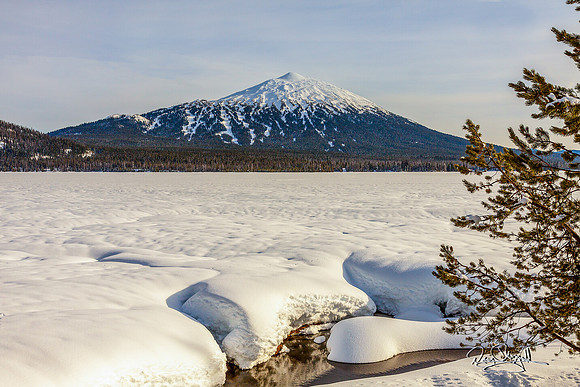 Bachelor fro Sparks Lake
