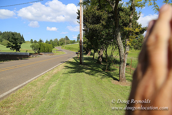 Helvetia rd at Mikes-5950