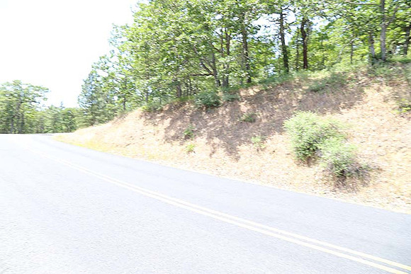 Canyon Rd 2-7962