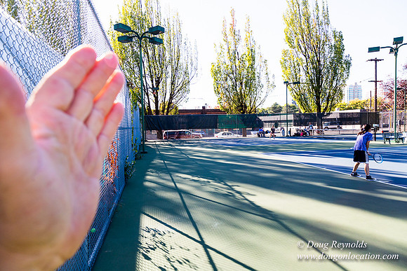 Portland Tennis Courts 3